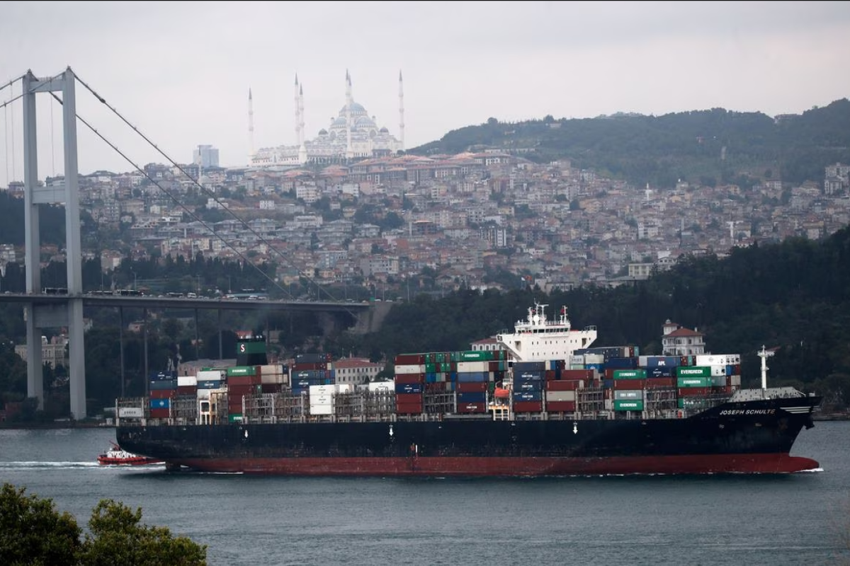 First ship to use Ukraine's corridor arrives in Istanbul - witness