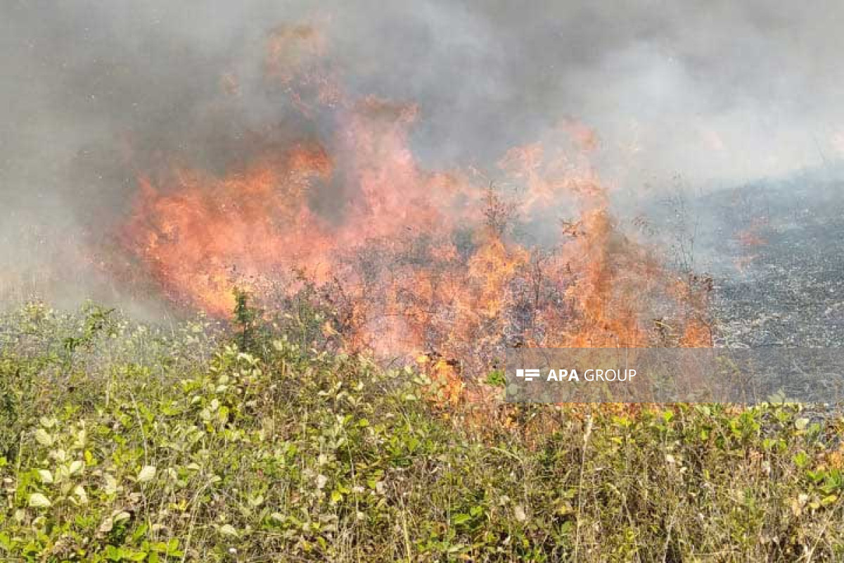 Fire in mountainous terrain in Azerbaijan’s Shamakhi completely extinguished