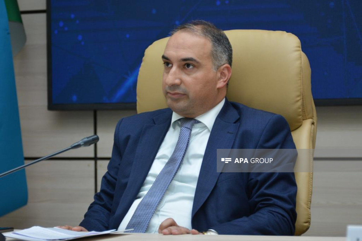 ead of the Department of Foreign Policy Affairs of the Presidential Administration, Habib Mikayilli 