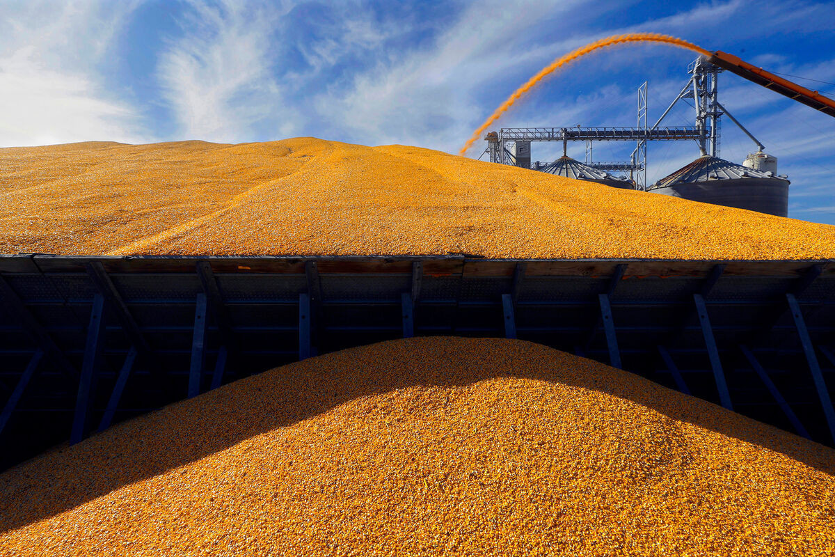 Türkiye and UN prepare proposals for grain deal — MEDIA