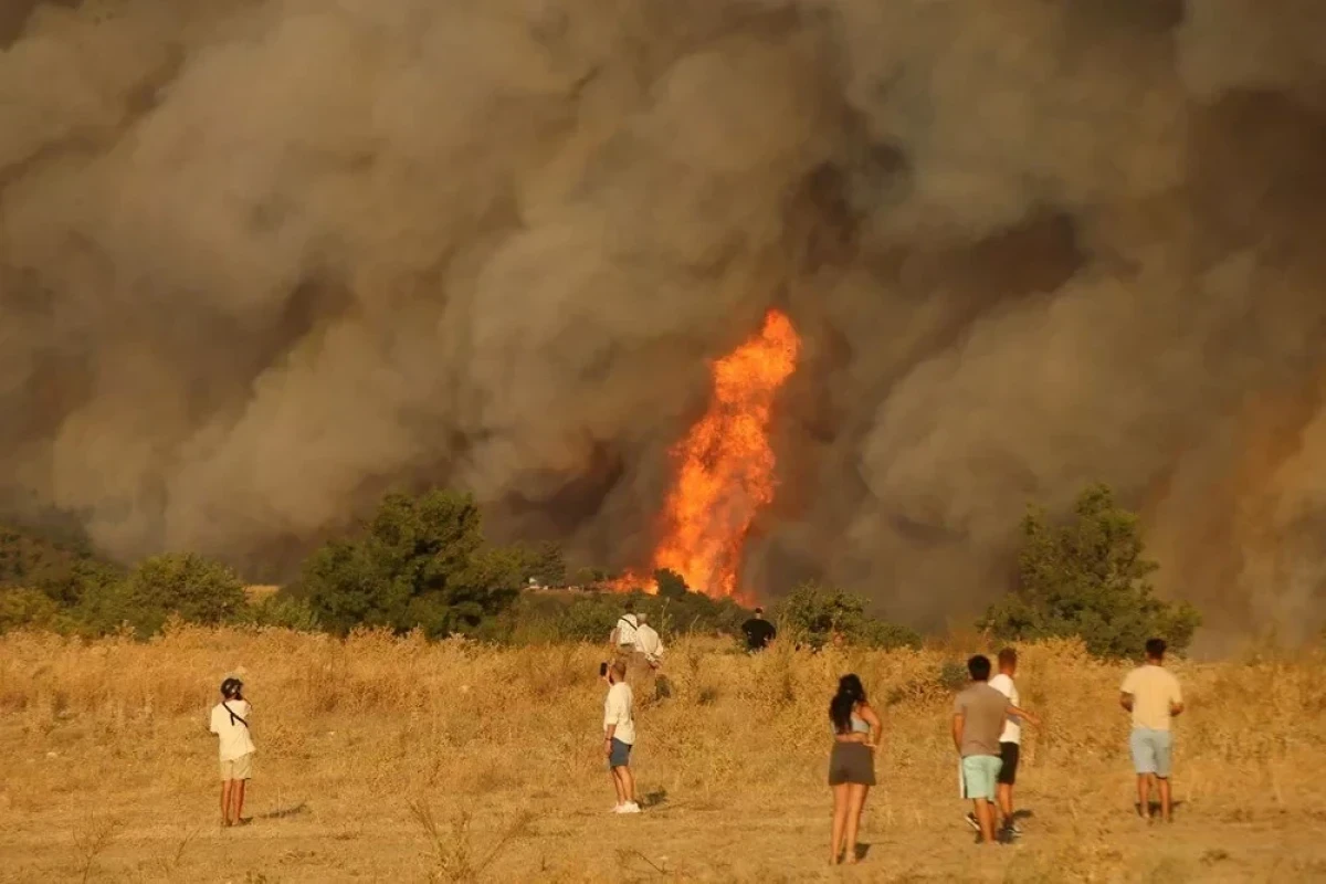 Firefighters contain wildfires in northwestern, central Türkiye