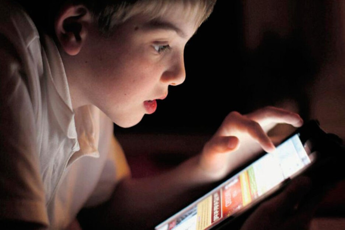 Azerbaijan to establish national online information center to protect children from harmful information