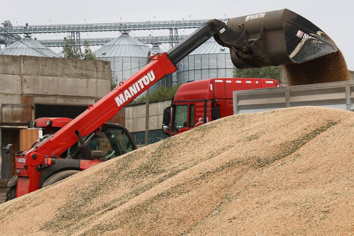 Hakan Fidan to propose to Moscow to resume grain deal in original form — source