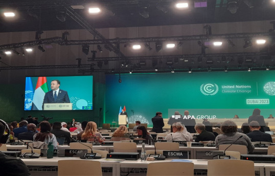 Georgia has adopted long-term strategy to become a carbon neutral country - Prime Minister