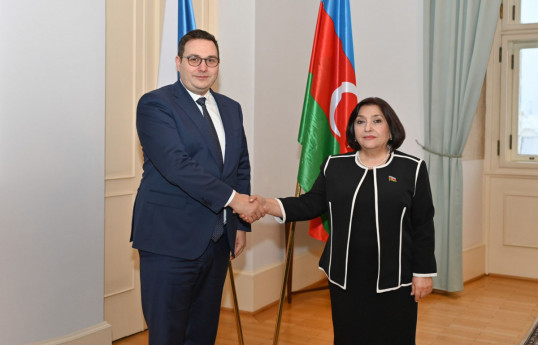 Speaker of Azerbaijan's Milli Majlis tells Czech FM that inadequate declarations harm efforts to sign peace treaty