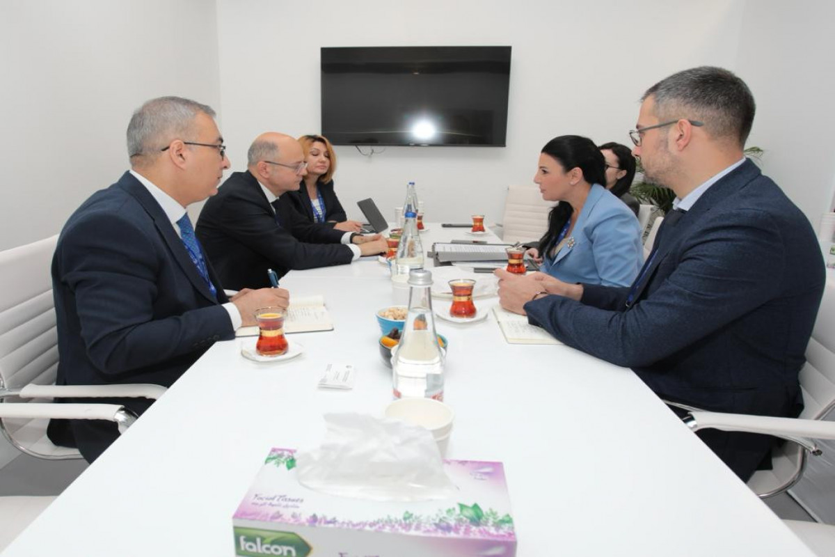 Azerbaijan, Albania discuss gasification project of Korce city -<span class="red_color">PHOTO