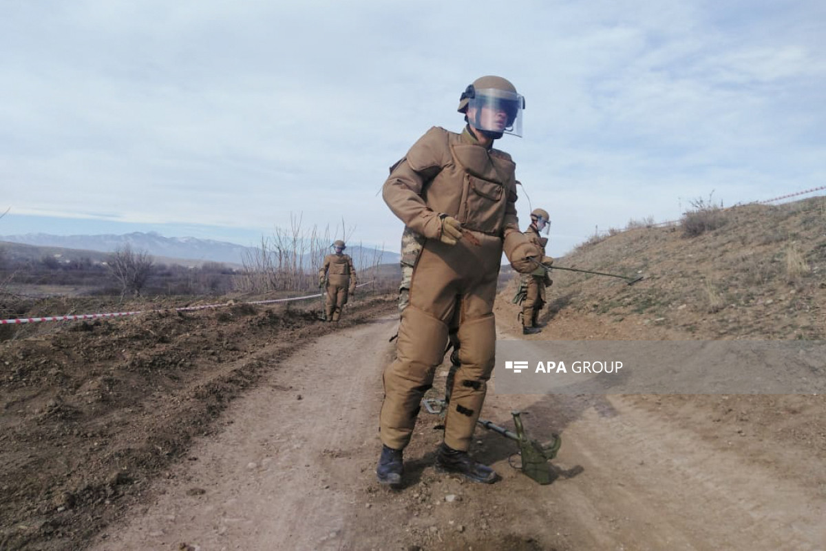 114 thousand hectares of land were cleared of mines in Azerbaijan