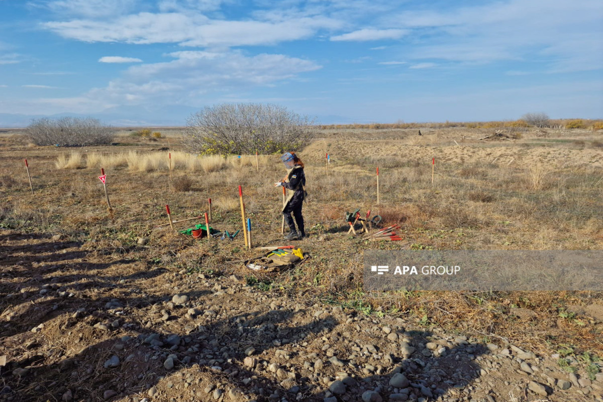 First women minesweepers group in Azerbaijan demonstrate demining training with rats, dogs-PHOTO -VIDEO 