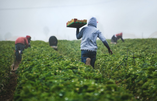 Kenya to send 1,500 farm workers to Israel