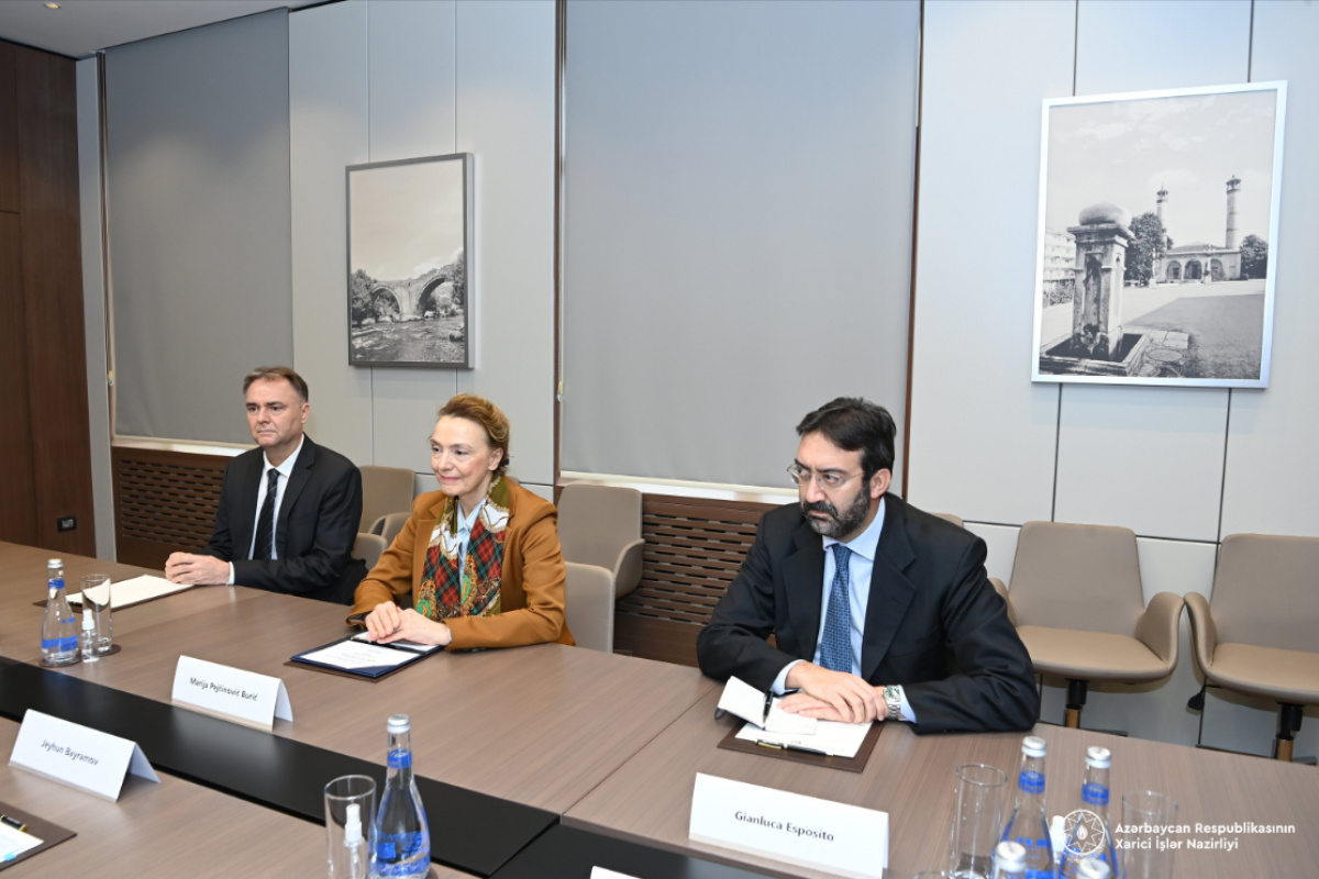 Azerbaijan, Council of Europe discuss current cooperation agenda