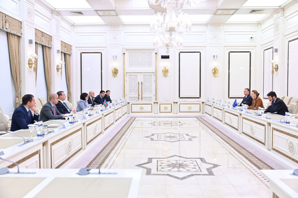 Azerbaijan Milli Majlis Speaker meets with Secretary General of Council of Europe