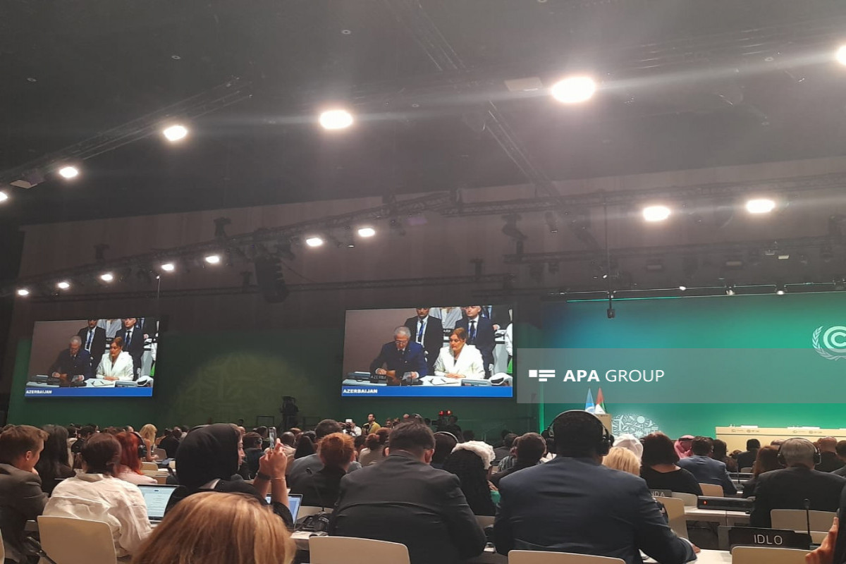 Azerbaijan to host COP29 in 2024-VIDEO -UPDATED 