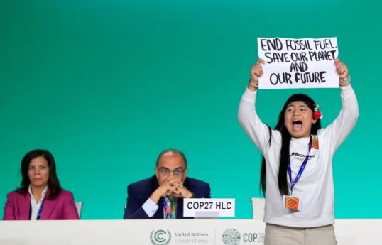 'End fossil fuels' protester storms stage of COP28 summit