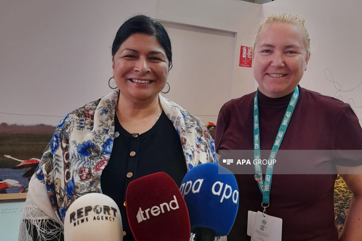 UNFCCC: General secretariat looks forward to working with Azerbaijani government and people at COP29
