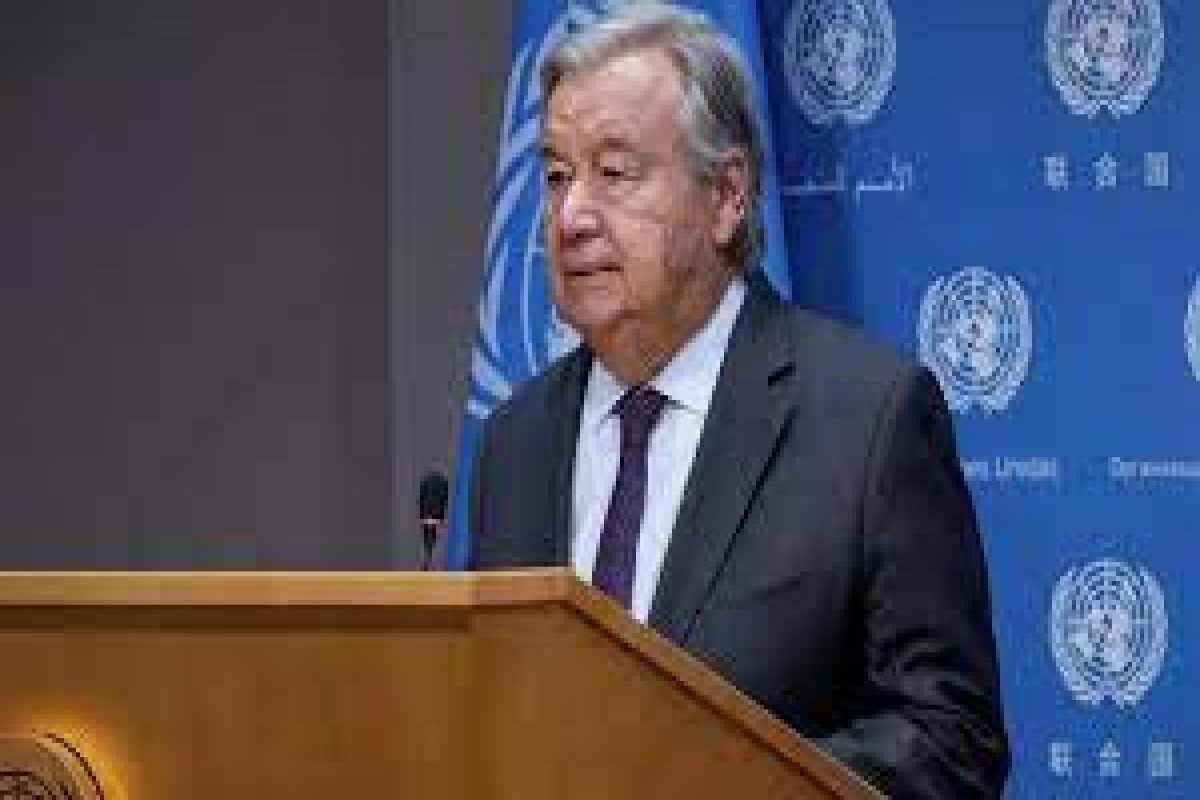 WHO chief reiterates call for ceasefire in Gaza