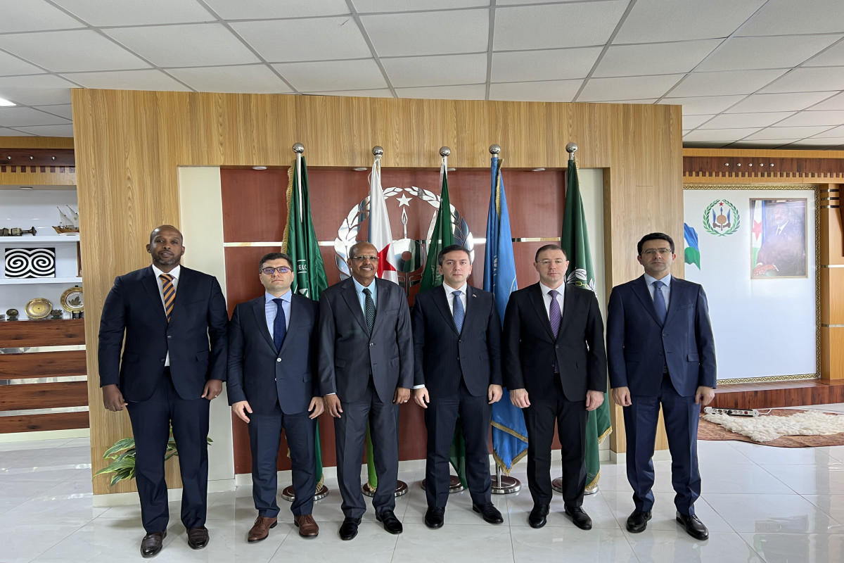 Azerbaijan and Djiboutian foreign ministries hold political consultations