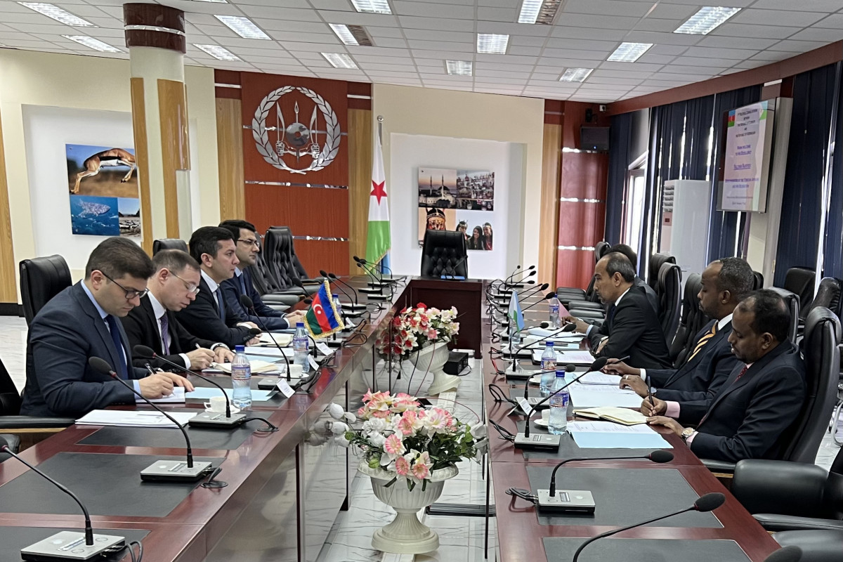 Azerbaijan and Djiboutian foreign ministries hold political consultations