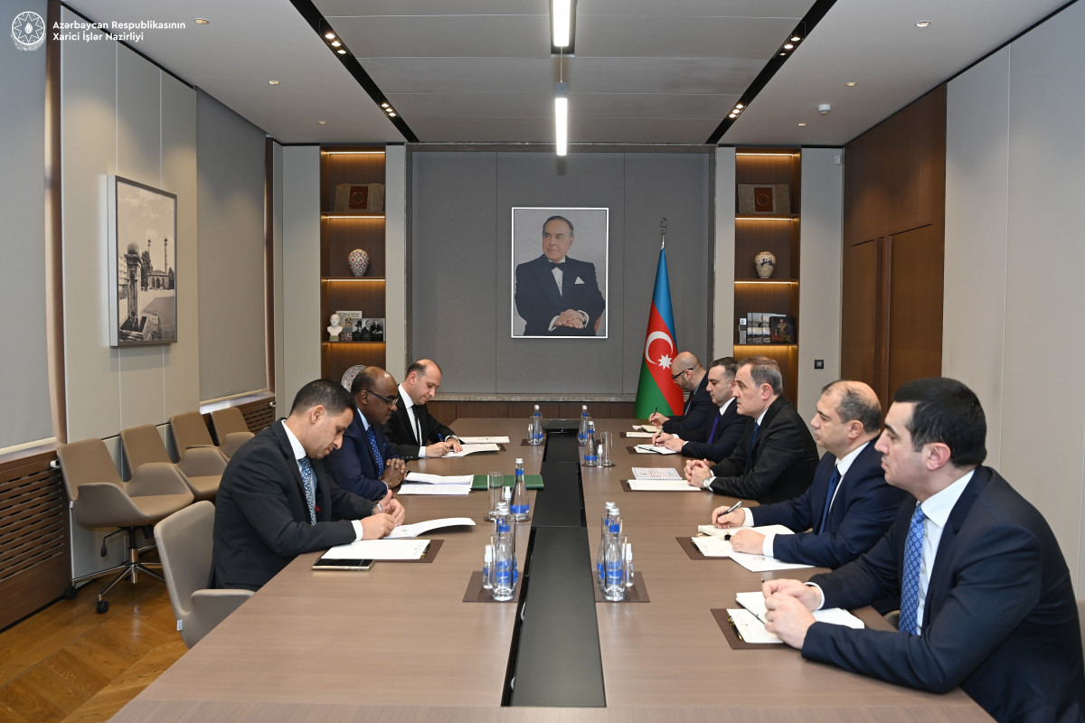 Azerbaijani FM meets with OIC Assistant Secretary-General
