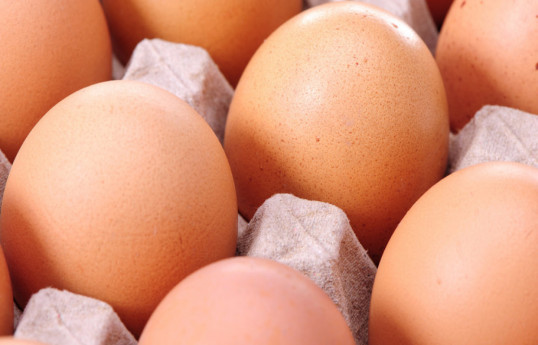 Azerbaijan exported 36 tons of eggs to Russia