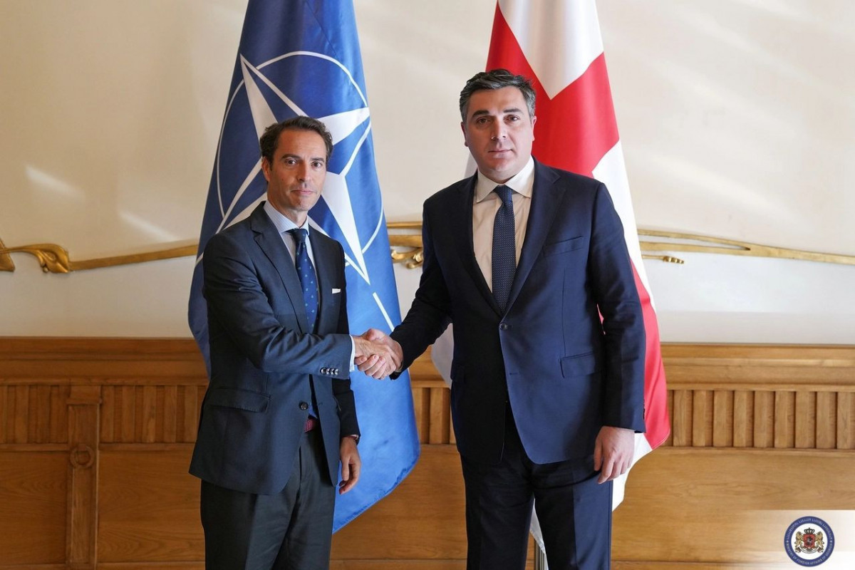 Georgian FM meets NATO Special Representative