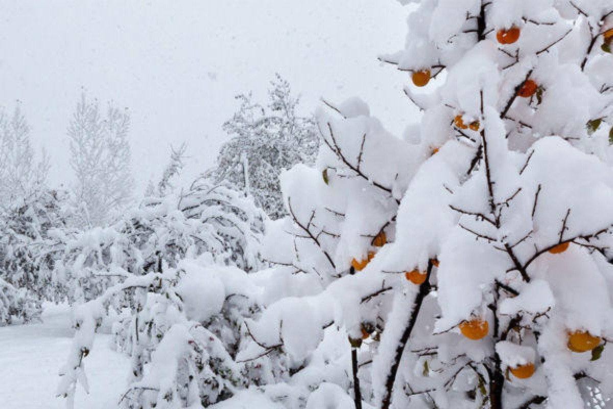 Winter season to start in Azerbaijan tomorrow