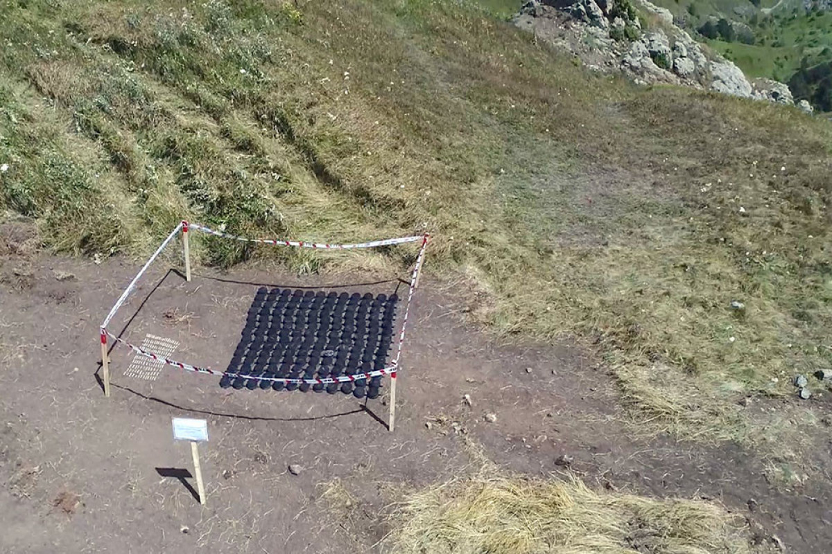 Azerbaijan detected 955 landmines and 1405 UXOs in liberated territories over 2023-VIDEO 