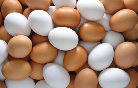 Second batch of eggs sent from Azerbaijan to Russia
