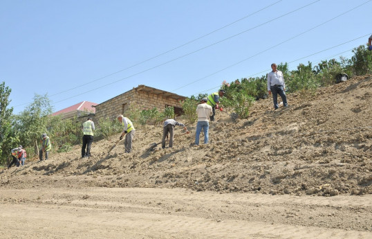 Azerbaijan builds 100 ha new green belts in liberated territories