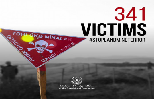 MFA: Elimination of landmine threat against Azerbaijan should become international priority