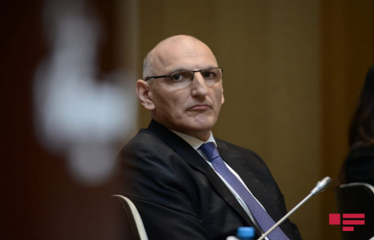 Elchin Amirbayov, Azerbaijan's Presidential Representative for Special Assignments