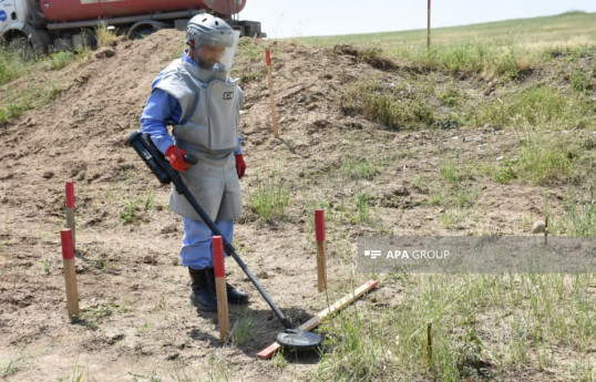 Azerbaijan's ANAMA found 8529 landmines, 23049 UXOs in liberated territories this year