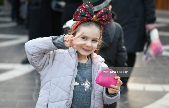 Baku celebrates the Day of Solidarity of World Azerbaijanis and the New Year -PHOTOSESSION 
