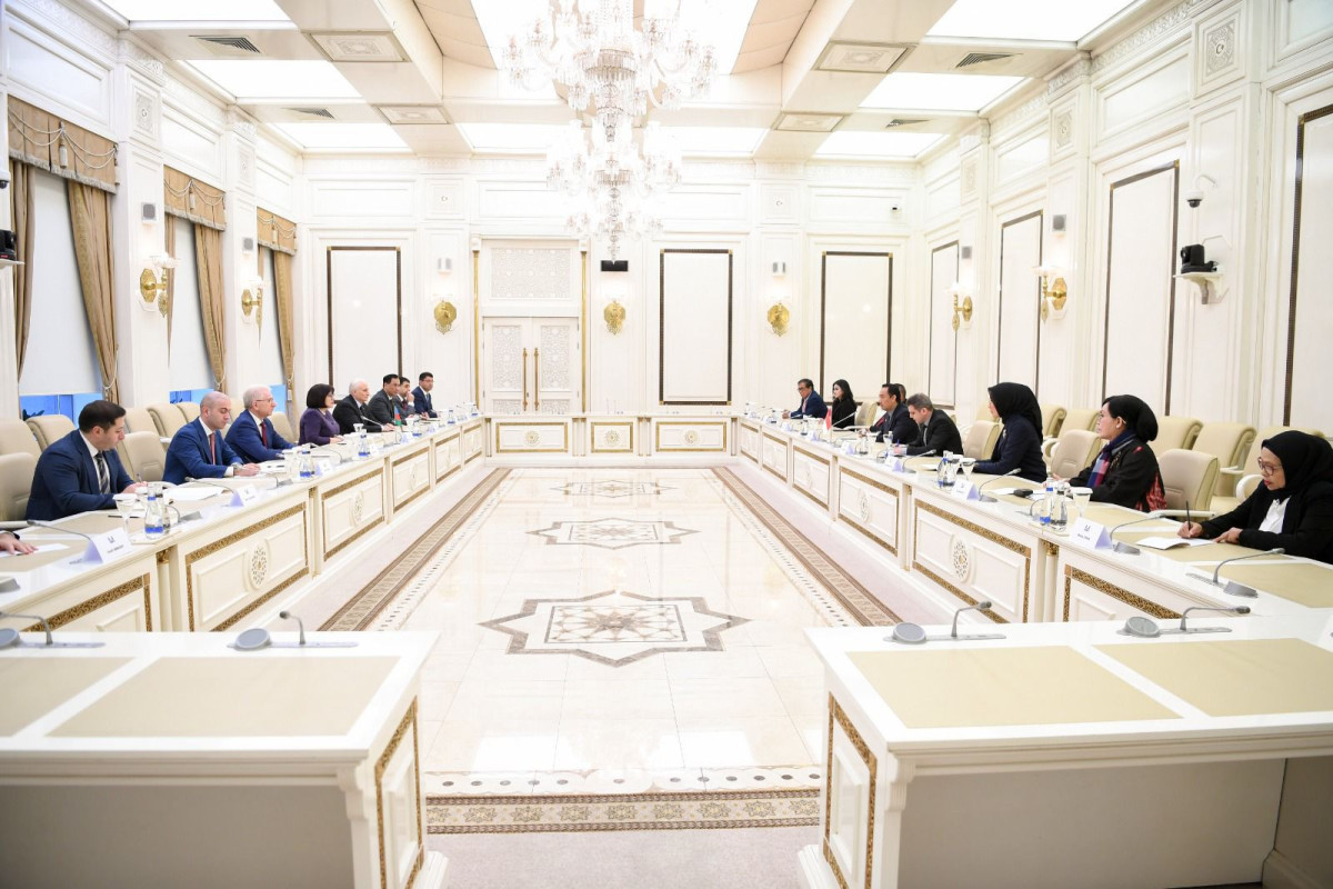 Azerbaijani speaker met with head of Indonesia-Azerbaijan Inter-parliamentary Friendship Group
