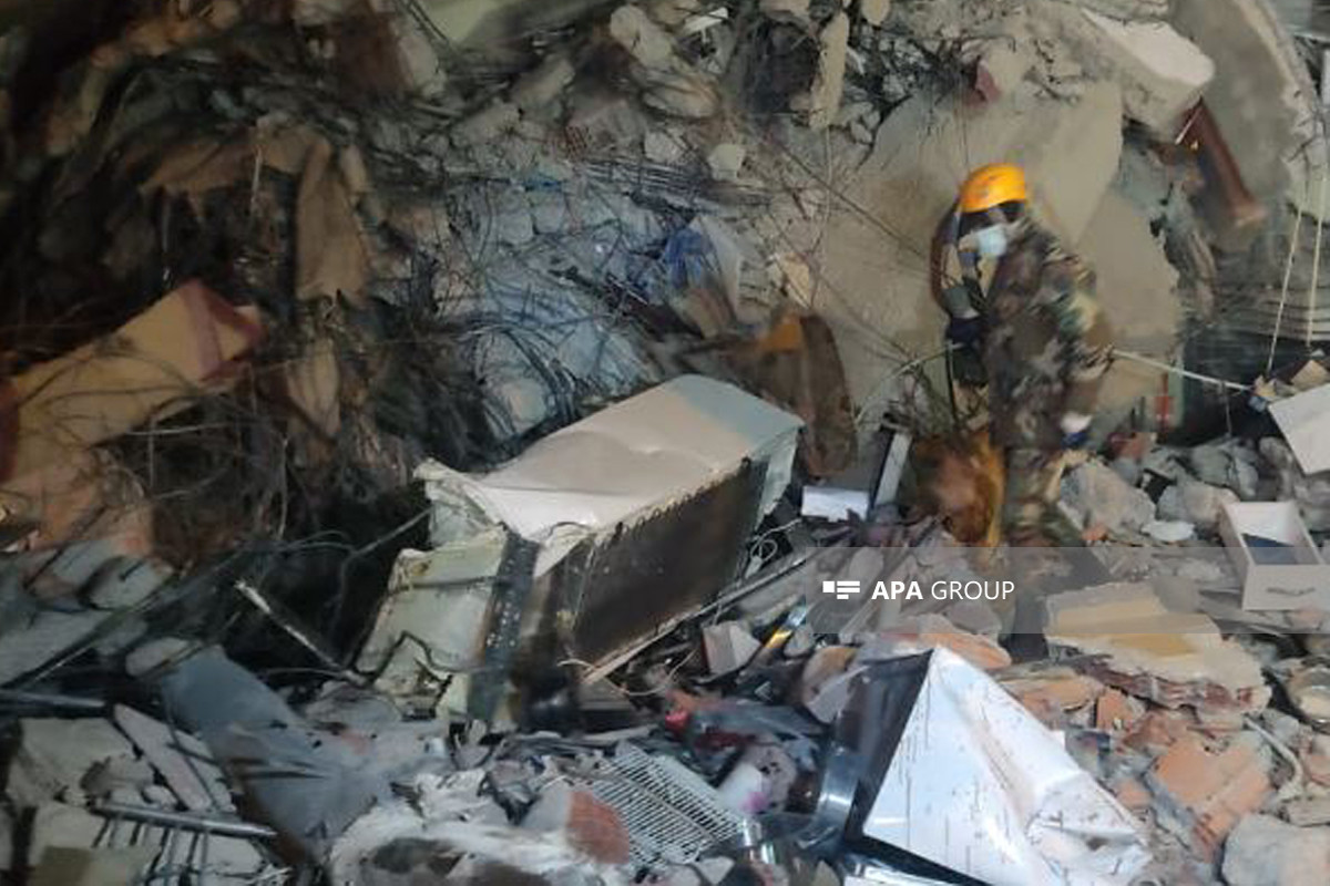 Azerbaijan's MES involved dogs in search operations in Kahramanmarash as well-PHOTO 