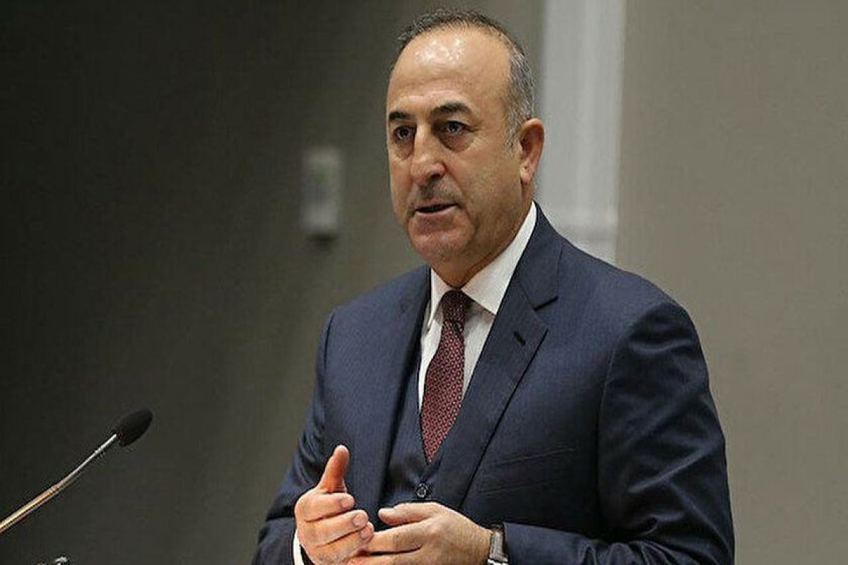 102 countries offered help after earthquake in Türkiye - Turkish FM