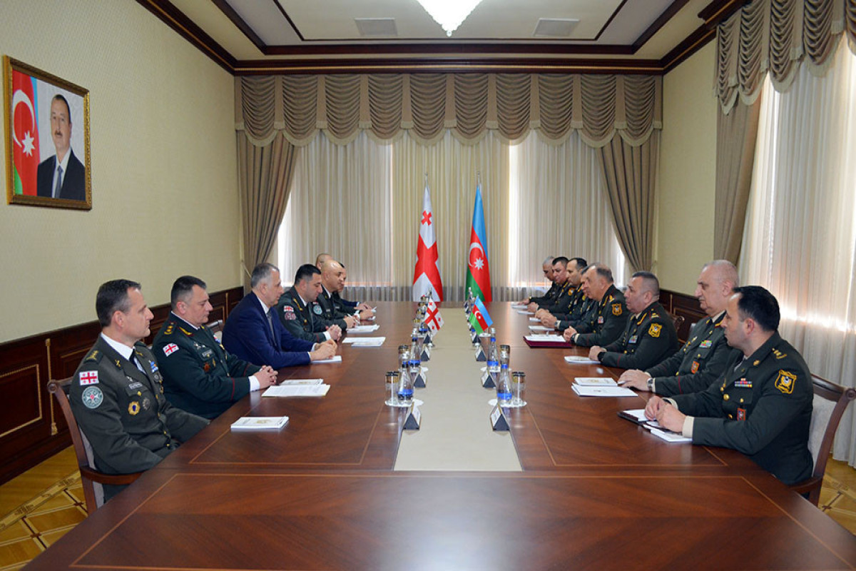 Azerbaijan and Georgia mull military cooperation-VIDEO 