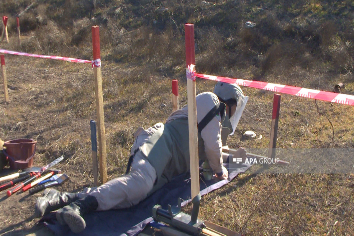Azerbaijan's ANAMA demines area in Fuzuli where is suspected to be mass grave  -PHOTO 