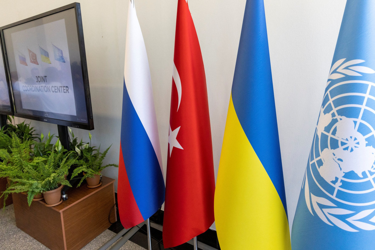 Ukraine wants one-year grain deal extension to include new ports