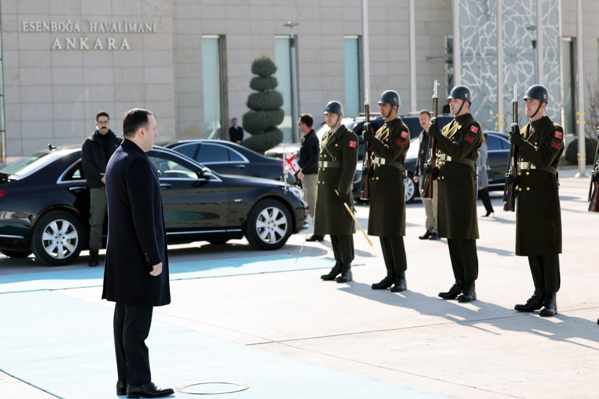 Georgian PM visits Türkiye’s Hatay province