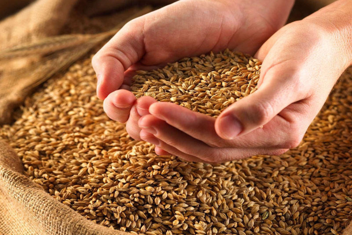 17 million tons of grain transported from Ukrainian ports so far