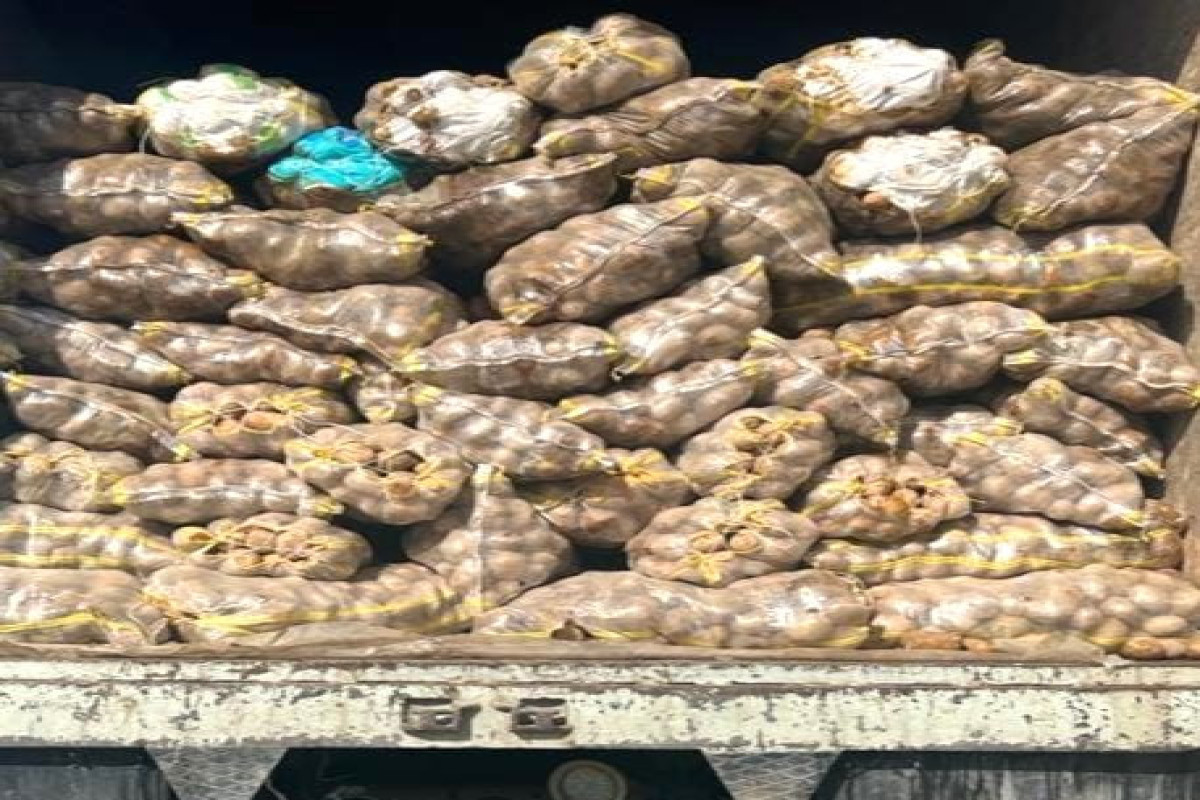 Azerbaijan detects harmful bacterium in potatoes imported from Iran and Russia