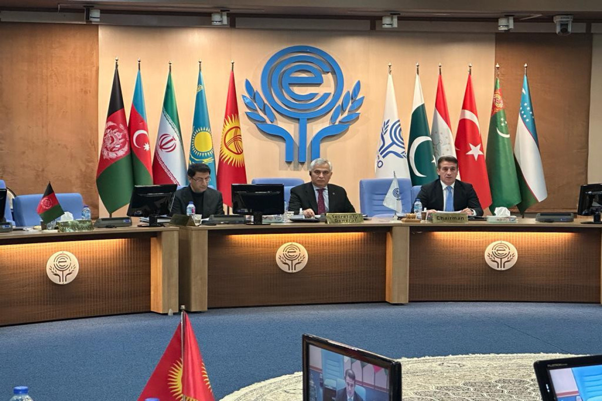 Tehran hosted first meeting of ECO under the chairmanship of Azerbaijan-PHOTO 