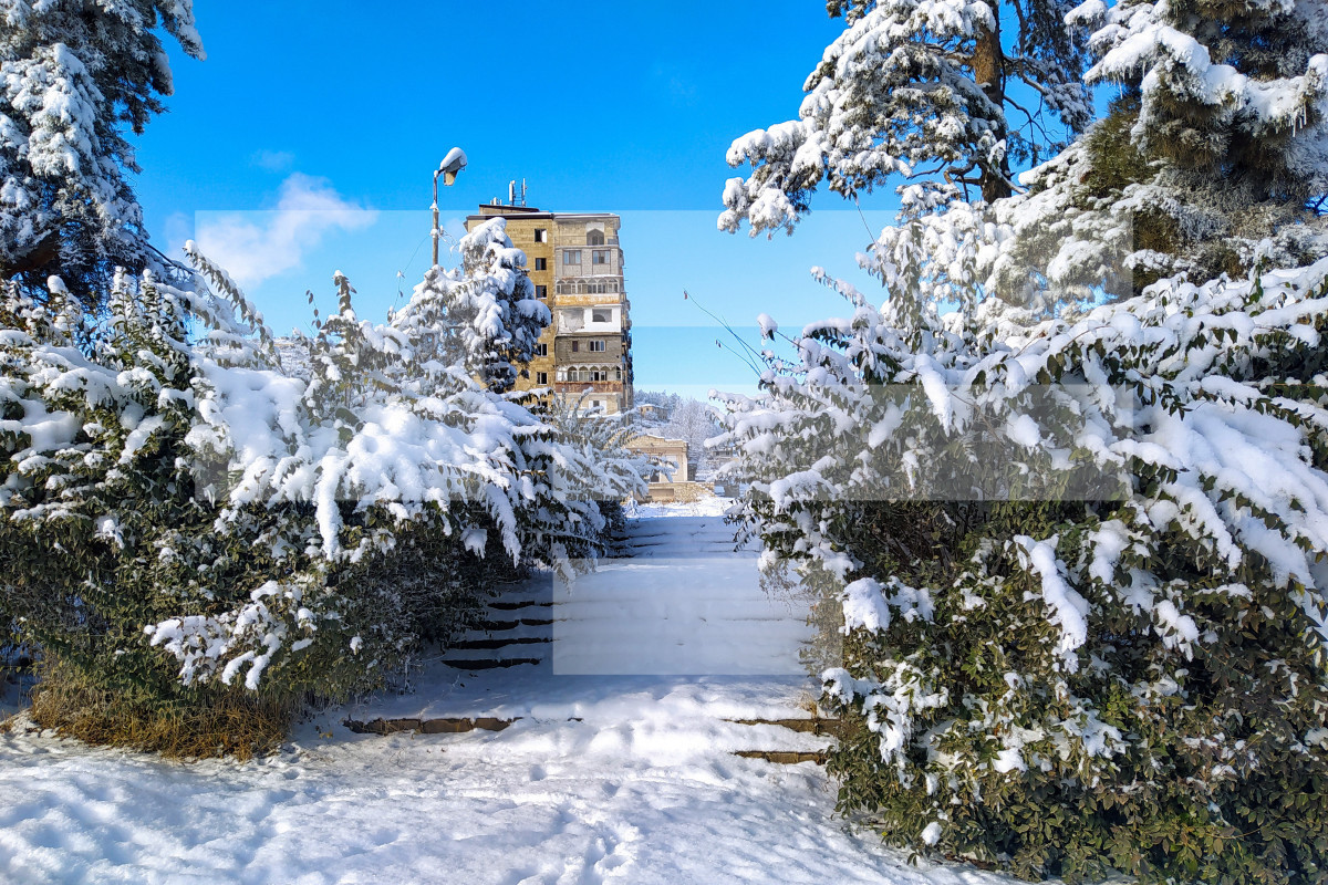 Shusha covered in white blanket-PHOTOLENT 