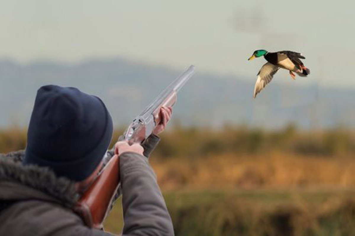 Yemeni and US citizens punished for violating hunting rules in Azerbaijan's Imishli region