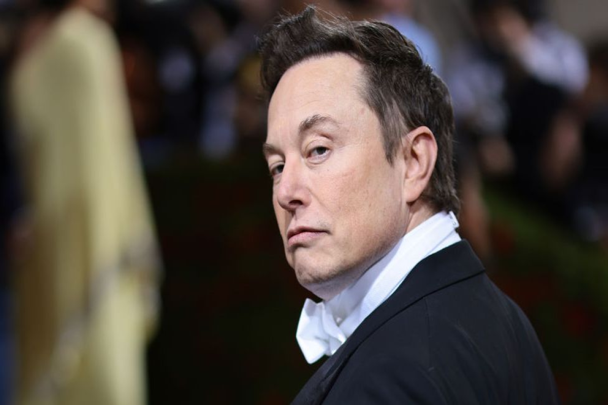 Elon Musk, Tesla CEO