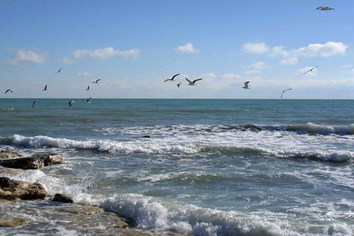 Next meeting of the Joint Working Group on the delimitation of the bottom of the Caspian Sea held