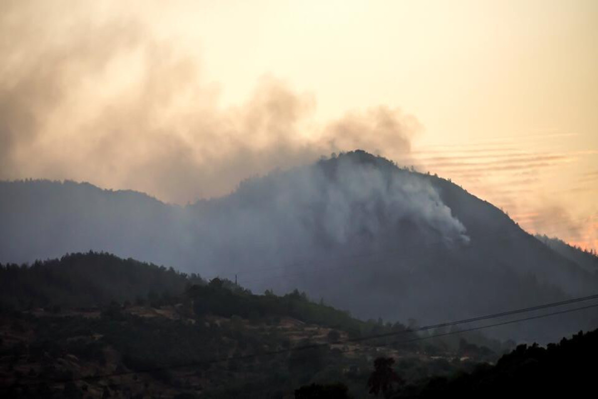 Turkiye's forest fire forced the evacuation of residents