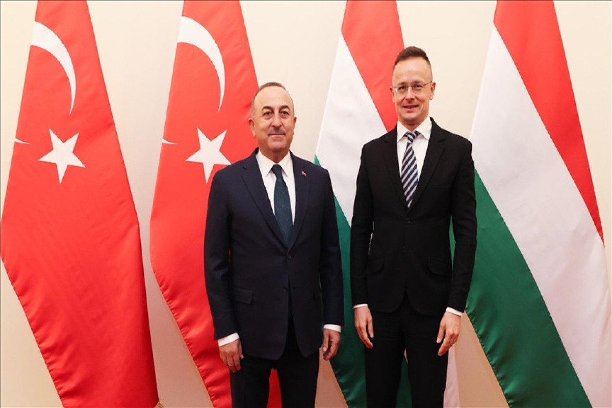 Türkiye won't ratify Sweden's NATO bid unless conditions fulfilled: Ankara