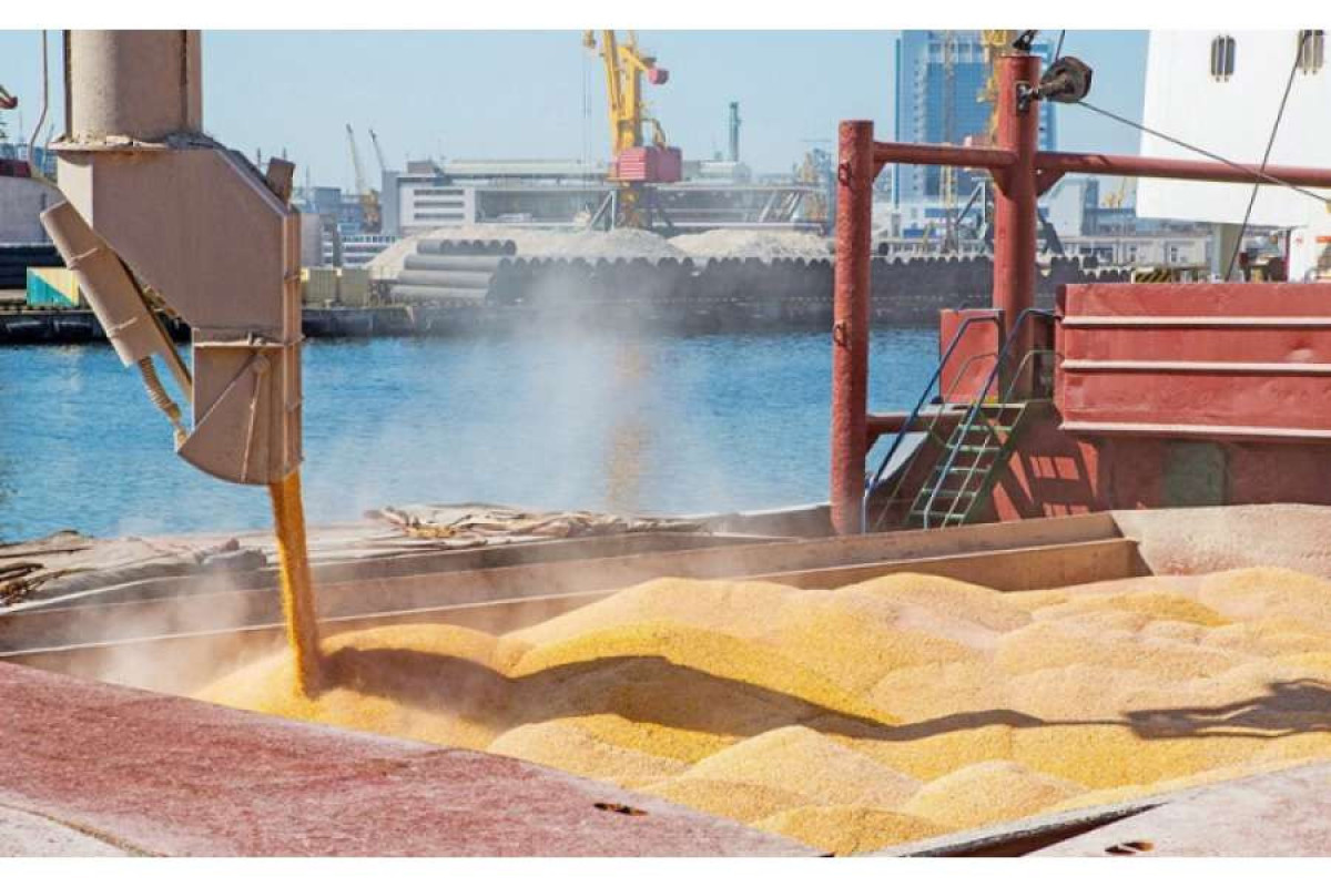 Turkiye to continue dialogue with Russia and Ukraine on extension of grain deal - Media