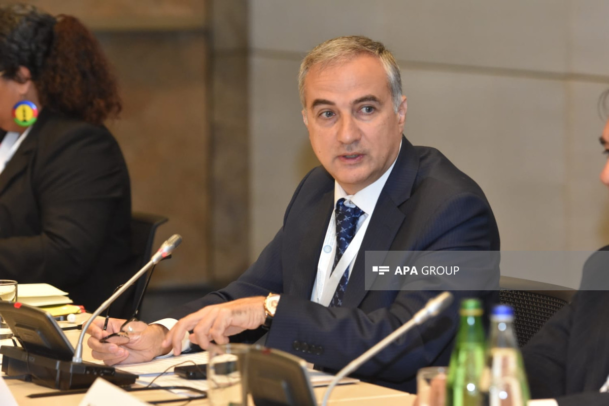 Farid Shafiyev, Chairman of the Board of the Center of Analysis of International Relations